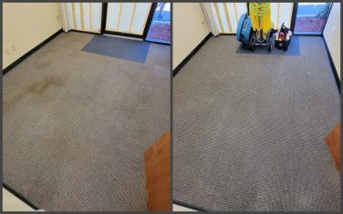 Lynnwood+carpet+cleaning